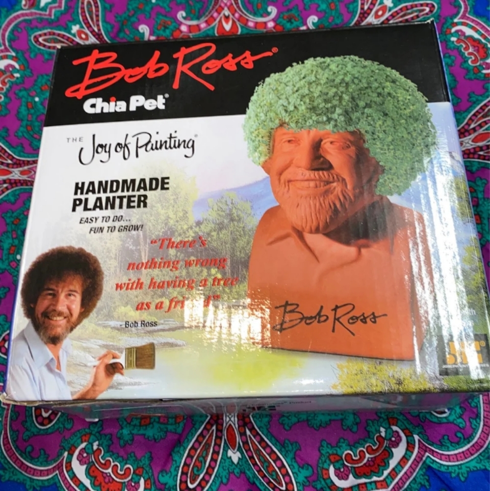 Chia pet
